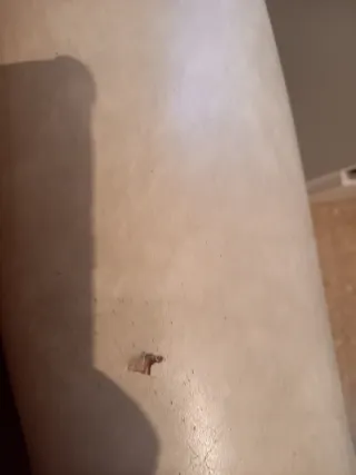 Sofá y sillones vintage beige y rojo