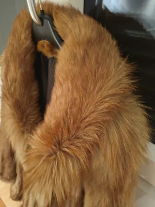 Abrigo de zorro rojo