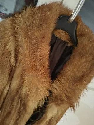 Abrigo de zorro rojo