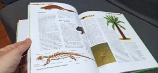 Libro de dinosaurios