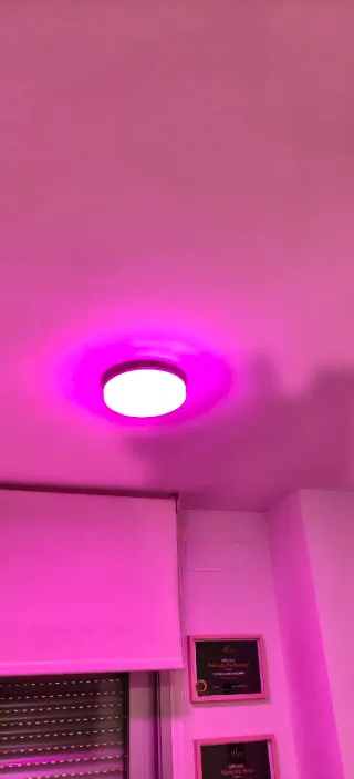 2 unidades de Plafón LED Techo Wifi Alexa Blanco