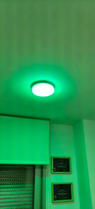 2 unidades de Plafón LED Techo Wifi Alexa Blanco