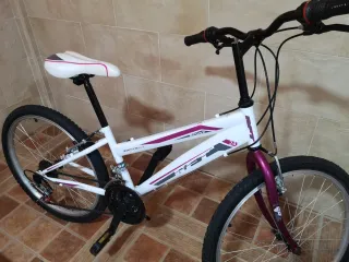 Bicicleta Montaña