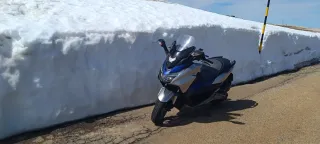 Honda Forza 125cc 2017