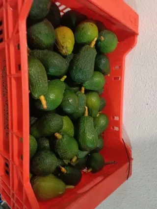 Venta de aguacates