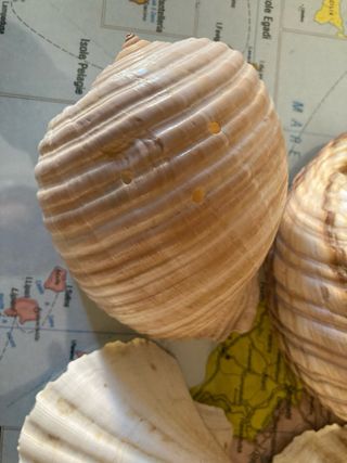 Posacenere e 2 vasi decorativi