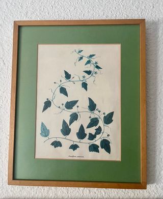 Set de 3 cuadros decorativos de plantas