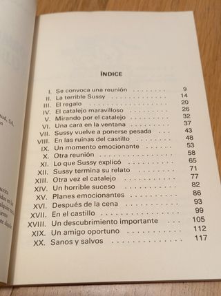 Los formidables chicos del club de los siete