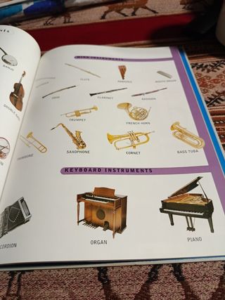 Words and Pictures: Diccionario en imagenes Ing...