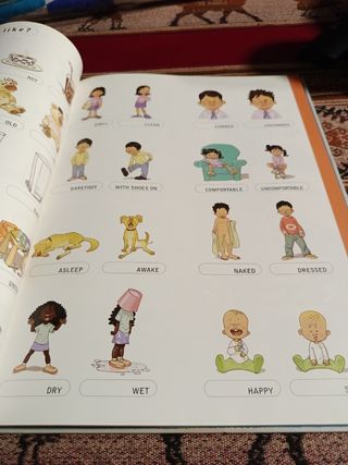 Words and Pictures: Diccionario en imagenes Ing...