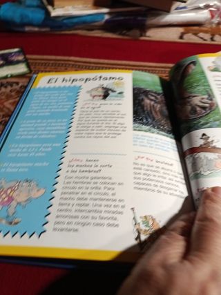 Los animales/ The Animals (Diccionario Del Por ...