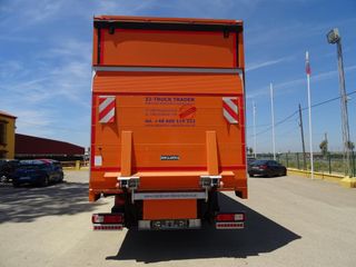 Renault PREMIUN 310 DXI-CAMIONES LONAS / TAUTLINER