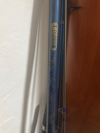 Caña de pescar Terson Artic