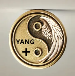 Moneta Divinatoria Yin-Yang con Guida