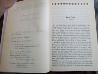 Ramos de Violetas. Amalia Domingo. Espiritismo.