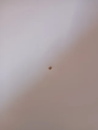 Escritorio Blanco Ikea