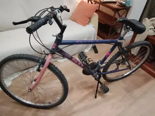 BICICLETA de MONTAÑA