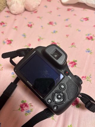 cámara Sony Cyber-shot DSC-H300