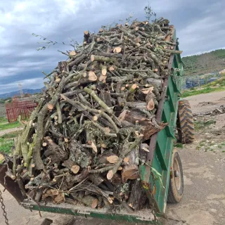 Leña de olivo a domicilio