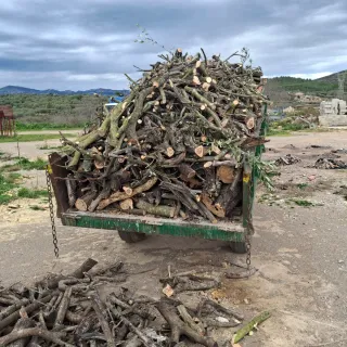 Leña de olivo a domicilio