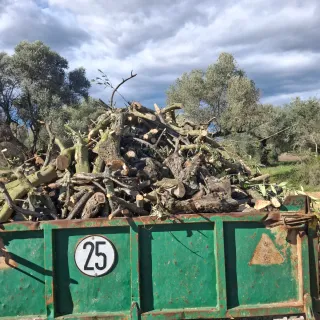 Leña de olivo a domicilio