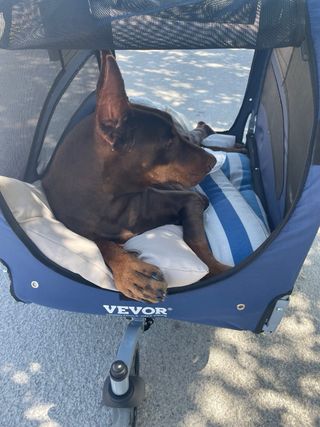 Carrito/Remolque Perro VEVOR Azul