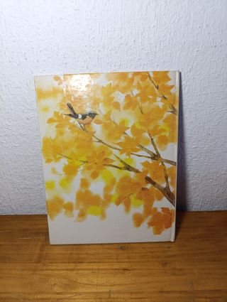 El Osito que no quería Dormir – Ana Herring