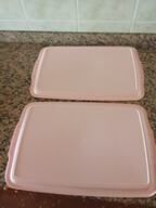 Lote 7 bandejas de plástico 460x300 mm