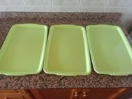 Lote 7 bandejas de plástico 460x300 mm