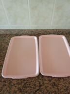 Lote 7 bandejas de plástico 460x300 mm