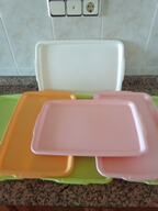 Lote 7 bandejas de plástico 460x300 mm