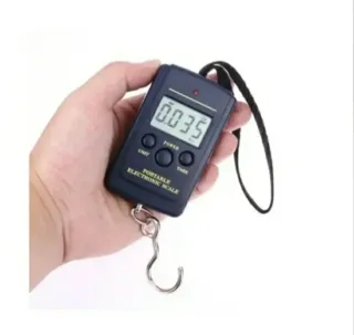 12 Plomos Pesca, Grapas, urfes, anzuelos, linterna