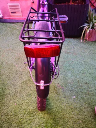 Bicicleta niña morada