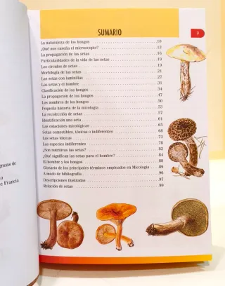 Libro Pequeña enciclopedia de setas