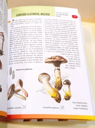 Libro Pequeña enciclopedia de setas