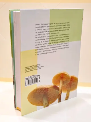 Libro Pequeña enciclopedia de setas