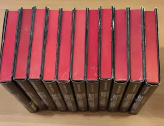 Il diario del Vampiro - 11 libri della Saga di Lis