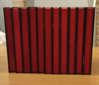 Il diario del Vampiro - 11 libri della Saga di Lis