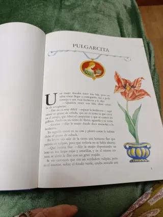 Cuentos mas bonitos, los