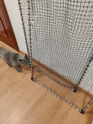 2x Red NOA para ventana (protección para mascotas)