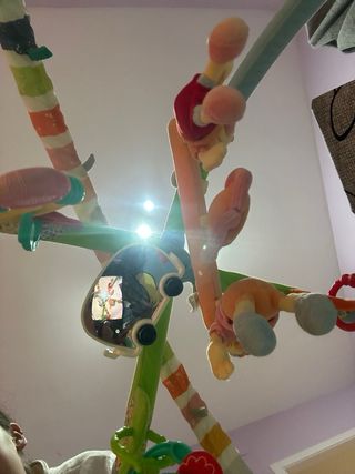 Gimnasio Bebé Winnie the Pooh