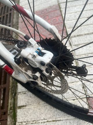 Bicicleta Lapierre Blanca