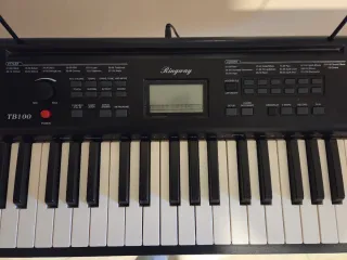 Teclado Electrónico Ringway TB100 incluye soporte