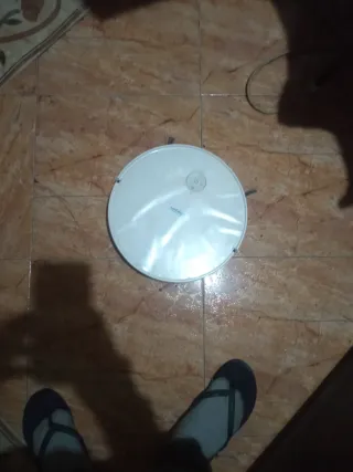 Aspiradora Conga Santalucía Pet 2100Pa