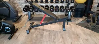 Banco de pesas TITANIUM STRENGTH ajustable