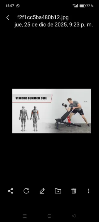 Banco de pesas TITANIUM STRENGTH ajustable