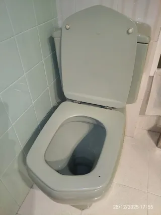 Inodoro Roca Verde Cerámica