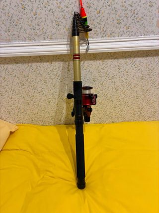 Caña de Pescar con Carretes