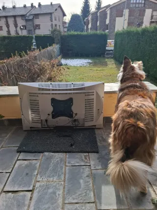 Televisión LG Plasma 42''