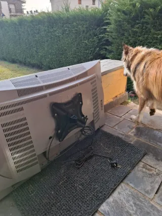 Televisión LG Plasma 42''